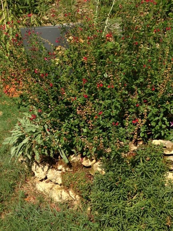 Les Camelias Panzió Lalinde Kültér fotó