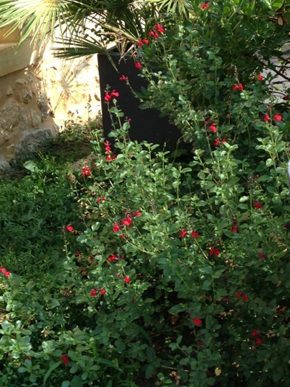 Les Camelias Panzió Lalinde Kültér fotó